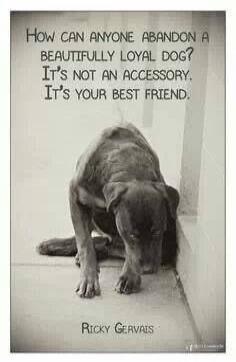 How can anyone abandon a beautifully loyal dog? It's not an accessory. It's your best friend. RICKY GERVAIS