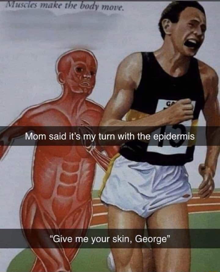 Viuscles make the body move Give me your skin George oW WA