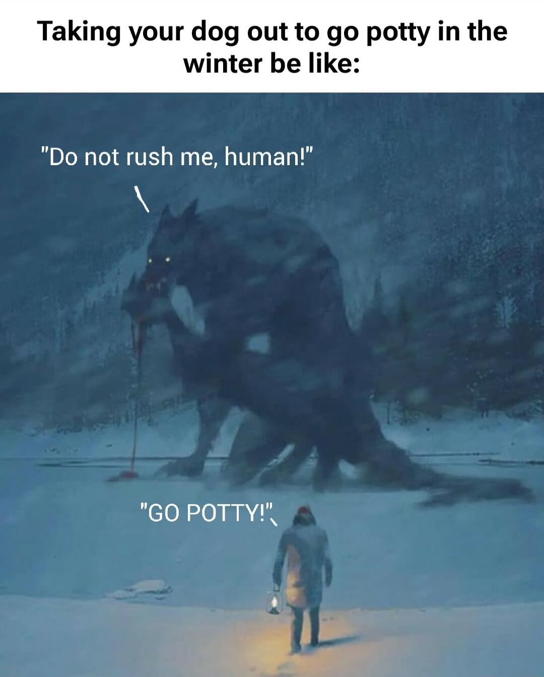 Taking your dog out to go potty in the winter be like: Do not rush me, human! GO POTTY!