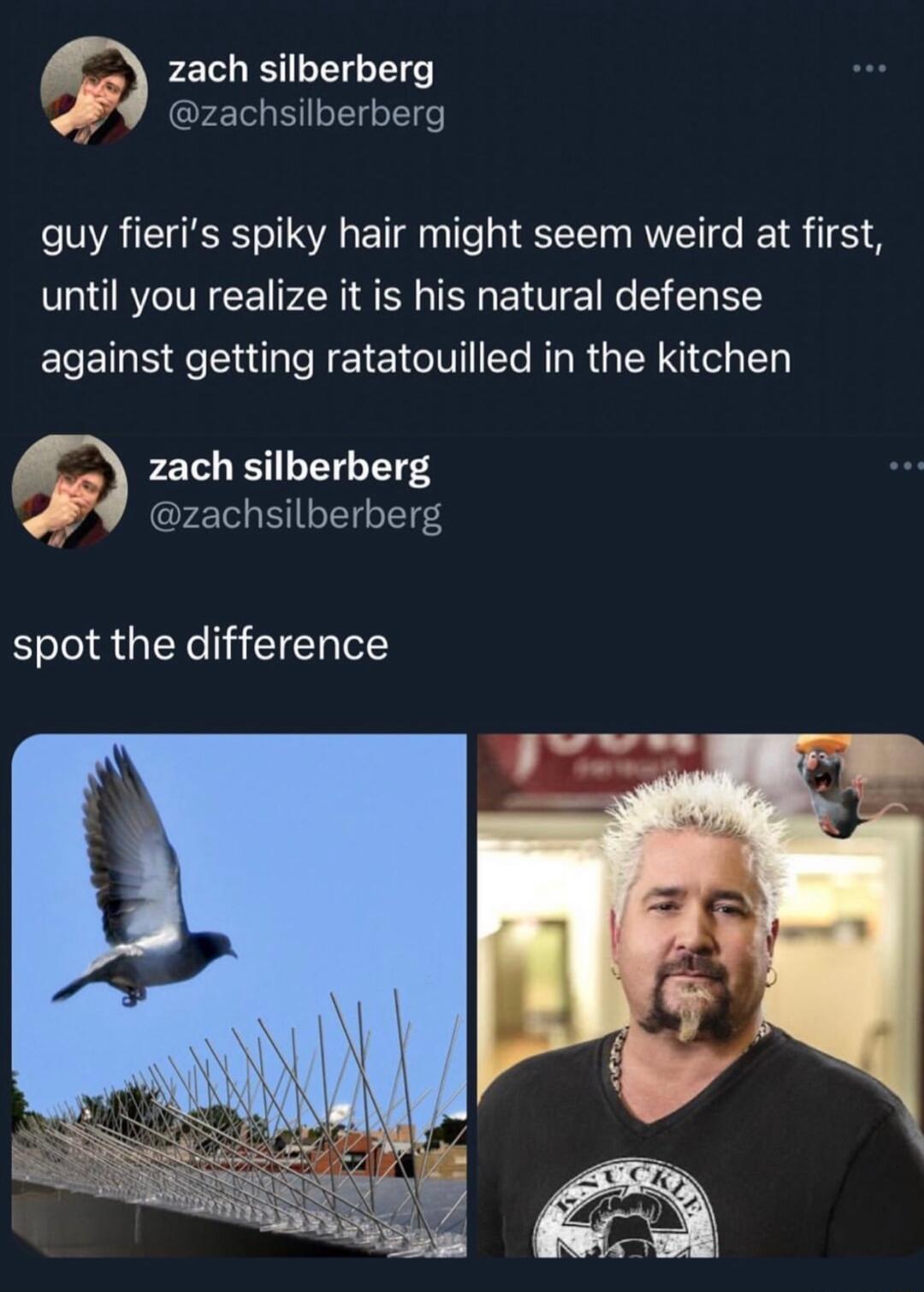 zach silberberg 9 zachsilberberg guy fieris spiky hair might seem weird at first until you realize it is his natural defense against getting ratatouilled in the kitchen zach silberberg zachsilberberg spot the difference