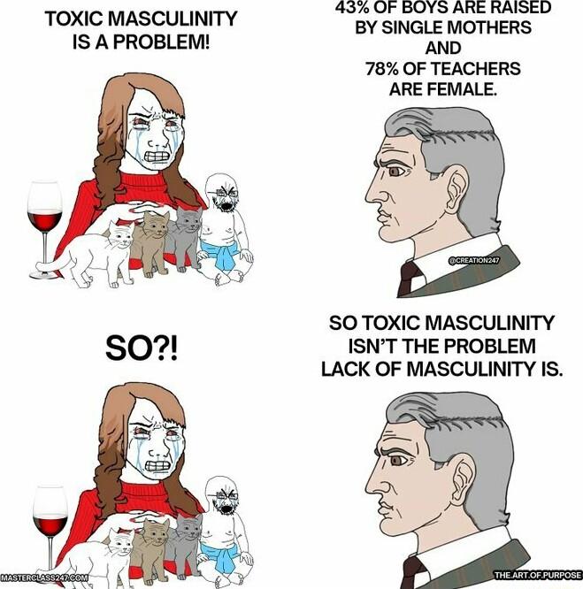 434 Or BOYS ARE RASED TOXIC MASCULINITY BY SINGLE MOTHERS 1S APROBLEM AND 78 OF TEACHERS ARE FEMALE SO TOXIC MASCULINITY SO ISNT THE PROBLEM LACK OF MASCULINITY IS