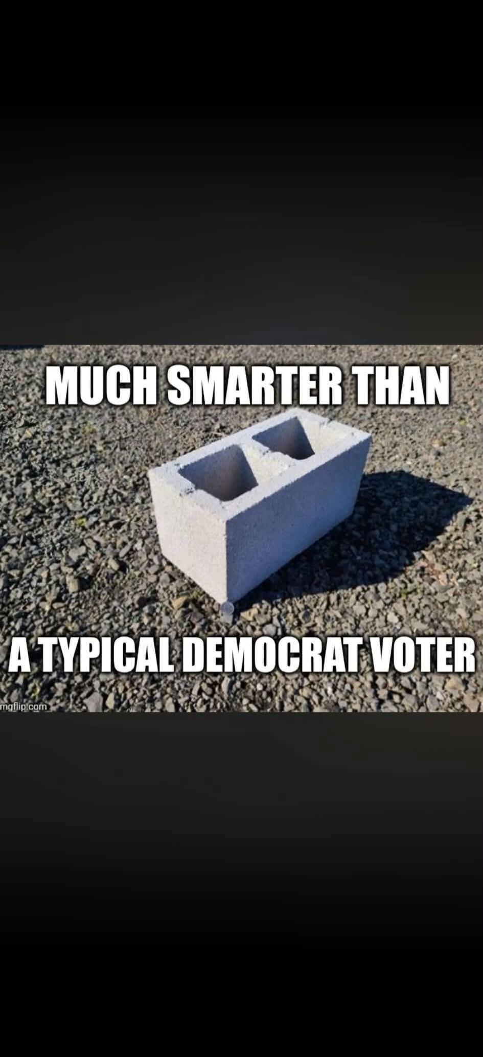 MUCH SMARTER THAN A TYPICAL DEMOCRAT VOTER imgflip.com
