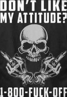 DON'T LIKE MY ATTITUDE? 1-800-FCK-OFF