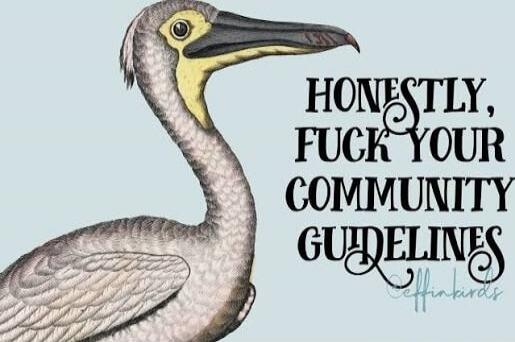 Honestly, fuck your community guidelines