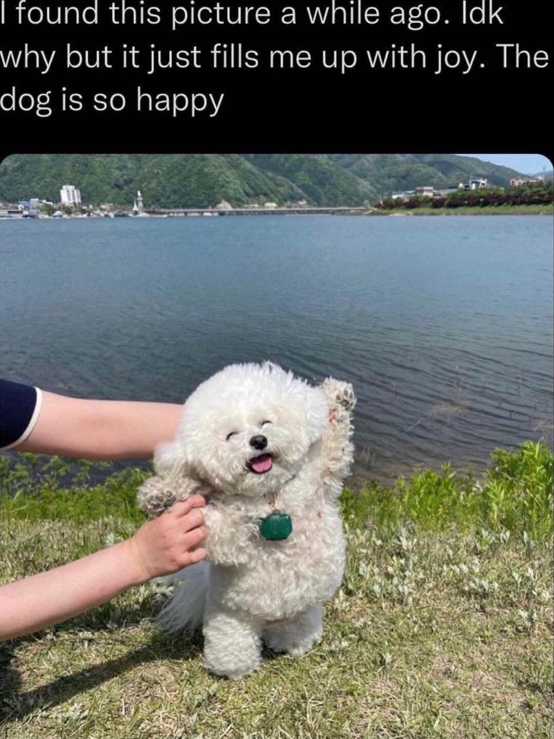 eIV ple RuaIH oleidVI R R gl CToe N hy but it just fills me up with joy The ool N E o N ETe0Y