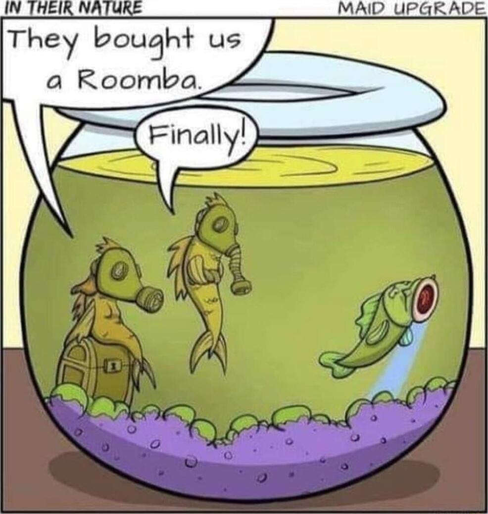 They bought us a Roomba