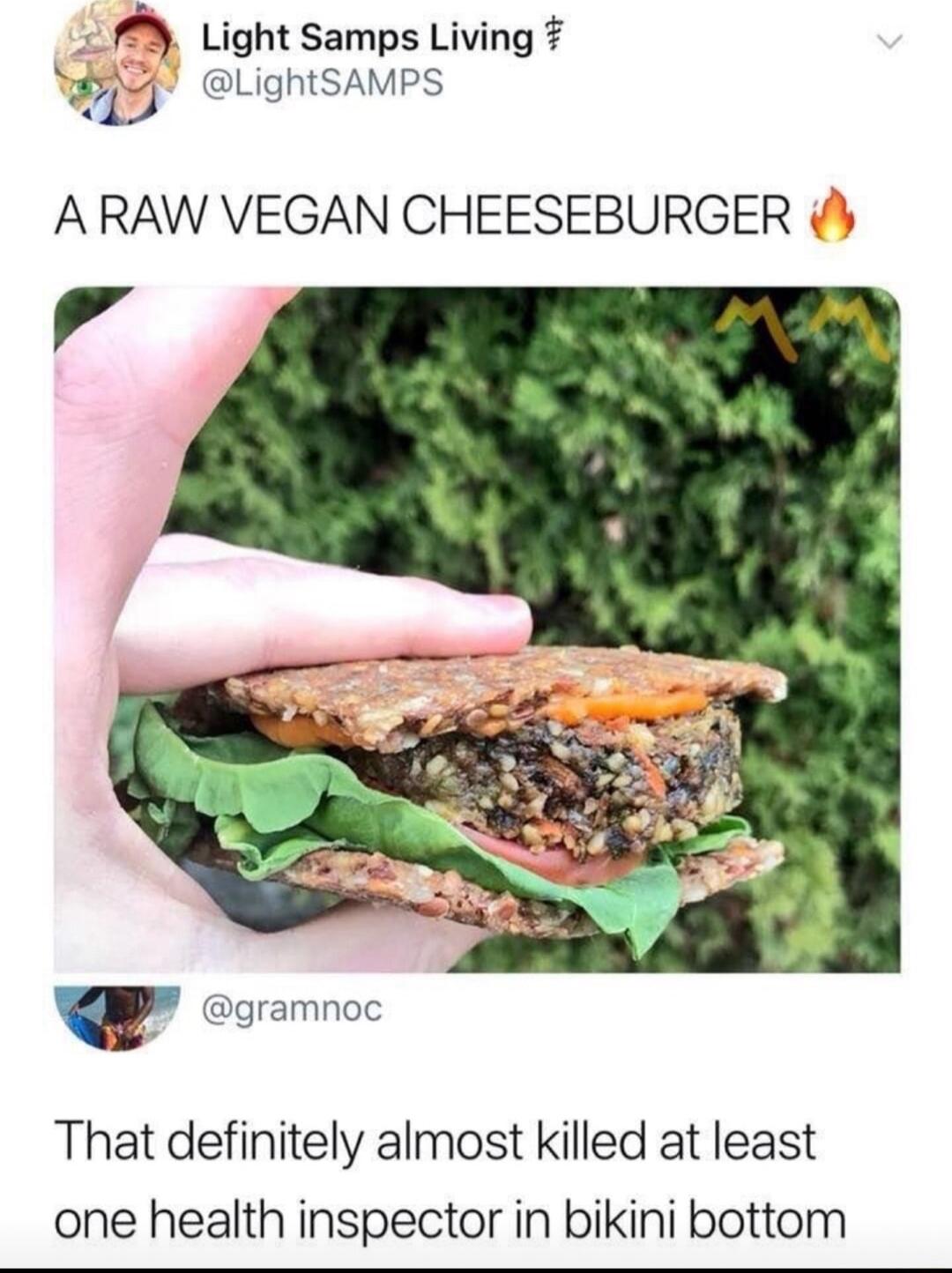 7 Light Samps Living yr LightSAMPS ARAW VEGAN CHEESEBURGER coamnoc That definitely almost killed at least one health inspector in bikini bottom