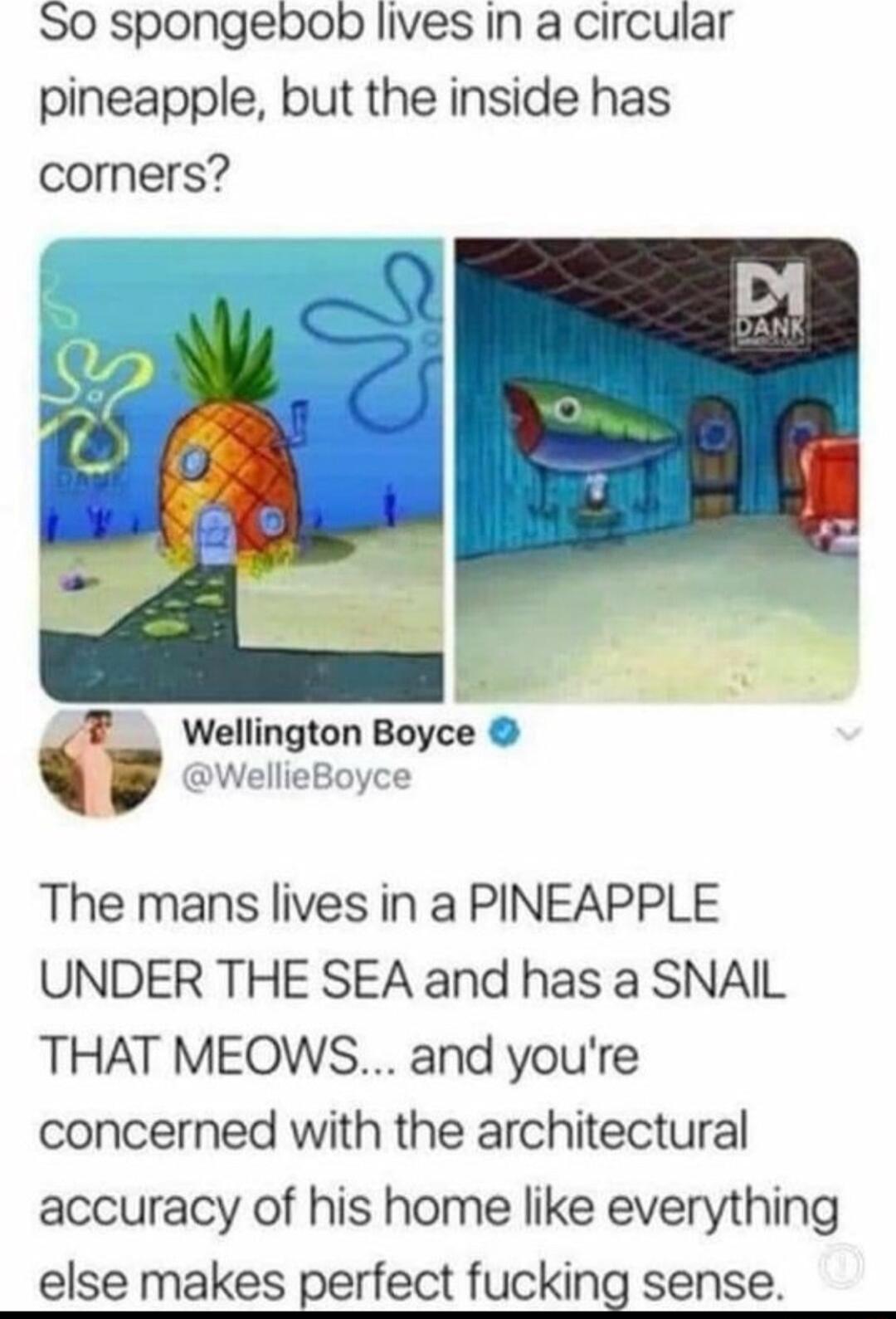 S0 spongebob lives In a circular pineapple but the inside has corners WellieBoyce Wellington Boyce The mans lives in a PINEAPPLE UNDER THE SEA and has a SNAIL THAT MEOWS and youre concerned with the architectural accuracy of his home like everything else makes perfect fucking sense