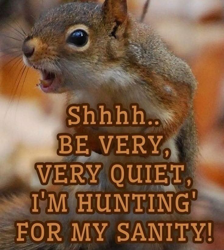 Shhhh.. BE VERY, VERY QUIET, I'M HUNTING' FOR MY SANITY!