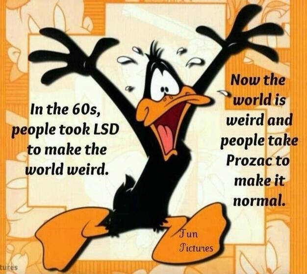 In the 60s, people took LSD to make the world weird. Now the world is weird and people take Prozac to make it normal.