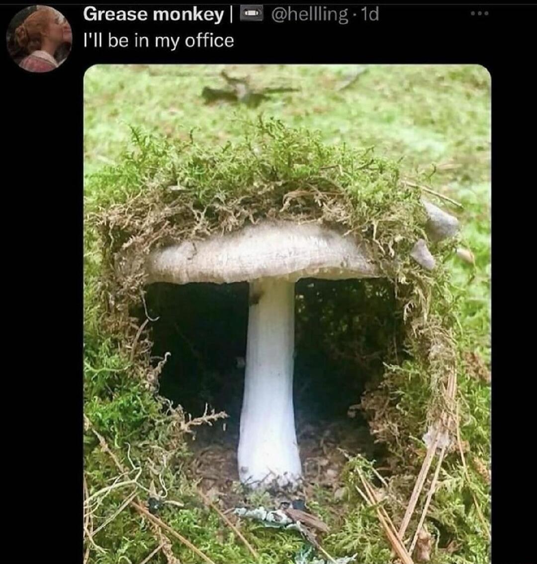 M Grease monkey hellling 1d Ill be in my office