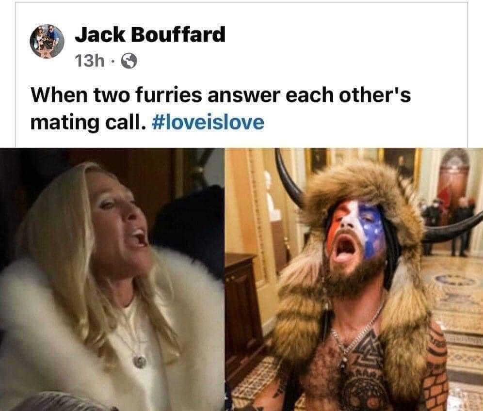 Jack Bouffard 13h When two furries answer each others mating call loveislove