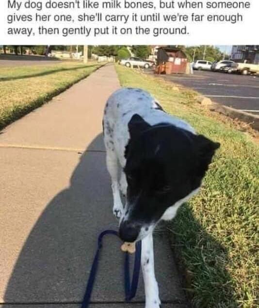 bones b her one shell carry it until then gently put it on the ground