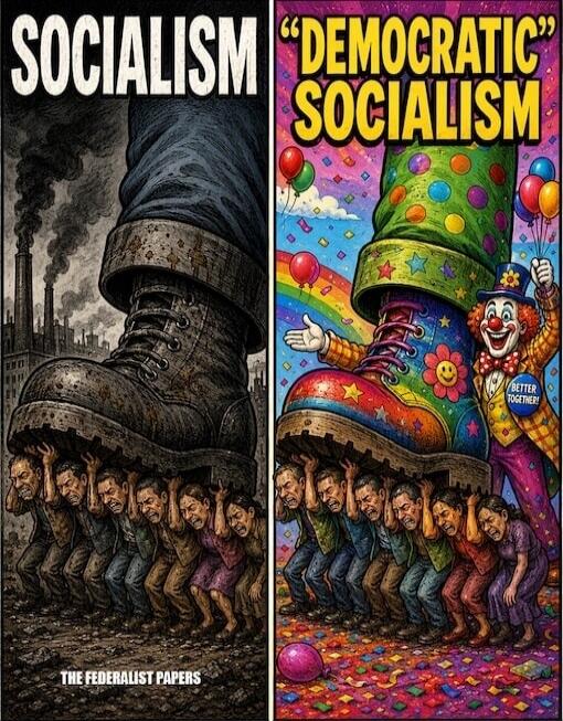 SOCIALISM DEMOCRATIC SOCIALISM THE FEDERALIST PAPERS BETTER TOGETHER!