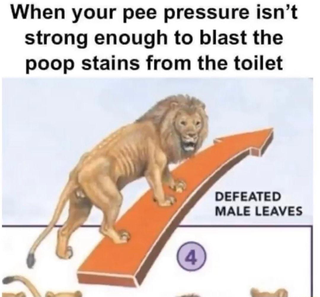 When your pee pressure isnt strong enough to blast the poop stains from the toilet DEFEATED MALE LEAVES tajo