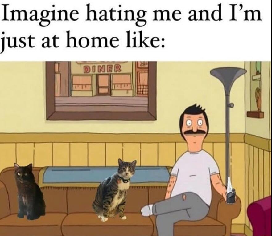 Imagine hating me and I’m just at home like: