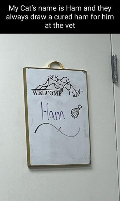 ASEI TN RN EIN T R 1 always draw a cured ham for him E1RIAYE i WELCOMF EW 1 o g R