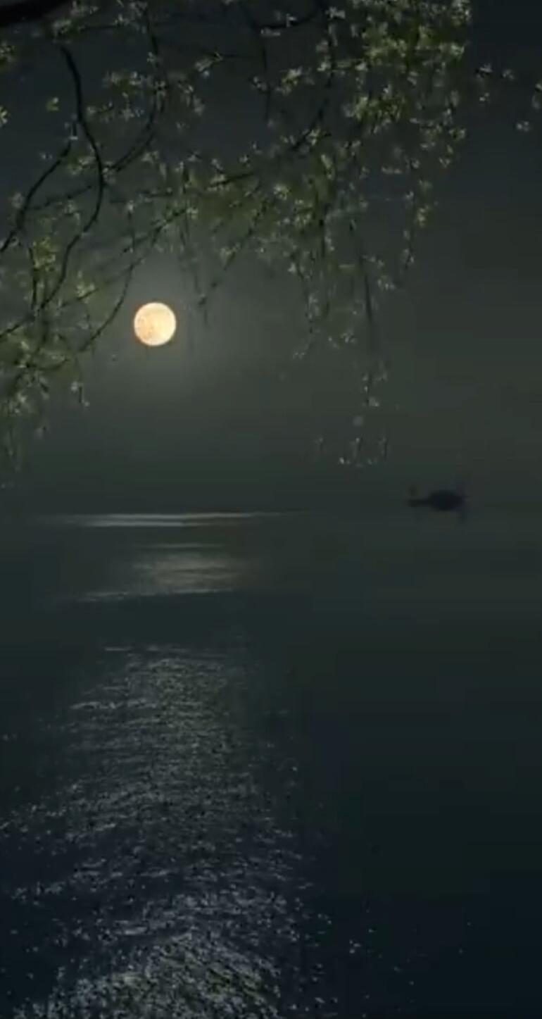 A serene night scene: a bright full moon over a dark lake, with moonlit reflections on the water. Tree branches frame the scene from above, and a small dark silhouette sits on the surface.