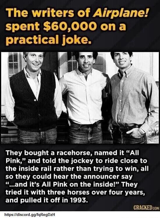 i They bought a racehorse named it All Pink and told the jockey to ride close to the inside rail rather than trying to win all ELR LRI N EETR Y EED LT T R and its All Pink on the inside They d it with three horses over four years ELCE TICE R AU R EEEN ORACKED con hitpsiidiscordggiaR