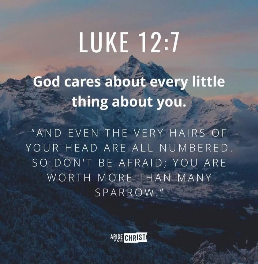 LUKE 12:7 God cares about every little thing about you. “And even the very hairs of your head are all numbered. So don’t be afraid; you are worth more than many sparrow.”