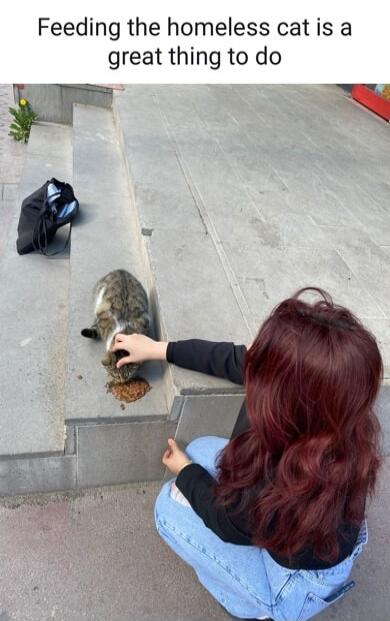Feeding the homeless cat is a great thing to do