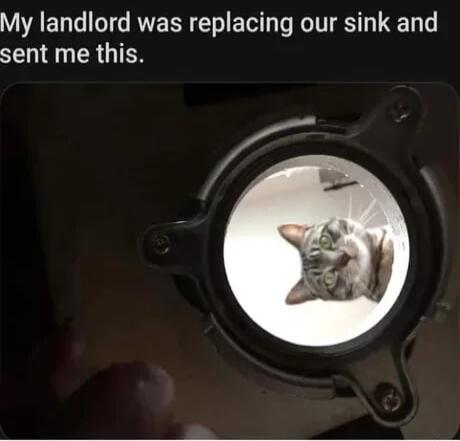 My landlord was replacing our sink and NN RGN
