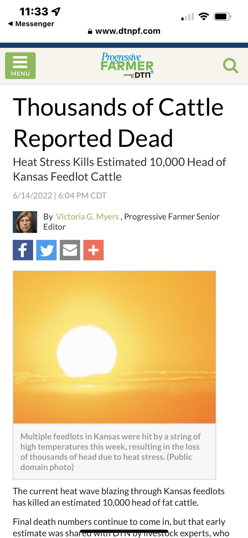 1M33 9 4 Messenger wwwdtnpfcom E FRRMER Q DTN Thousands of Cattle Reported Dead Heat Stress Kills Estimated 10000 Head of Kansas Feedlot Cattle 6142022 604 PM CDT Editor aoon By Victoria G Myers Progressive Farmer Senior Multiple feedlots in Kansas were hit by a string of high temperatures this week resulting in the loss of thousands of head due to heat stress Public domain photo The current heat 