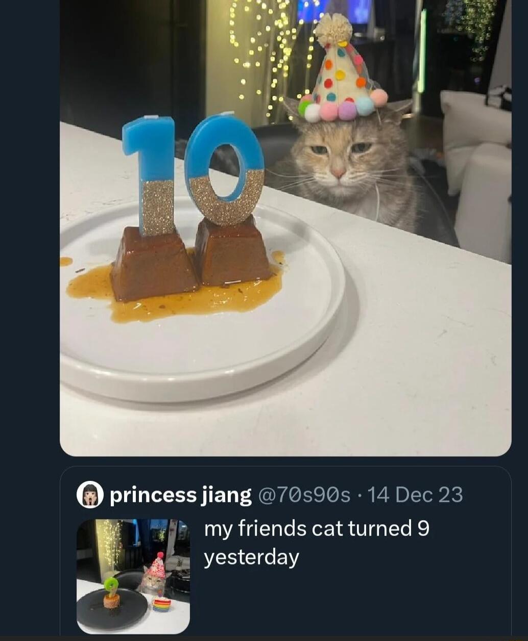 princess jiang 70590s 14 Dec 23 j my friends cat turned 9 E yesterday