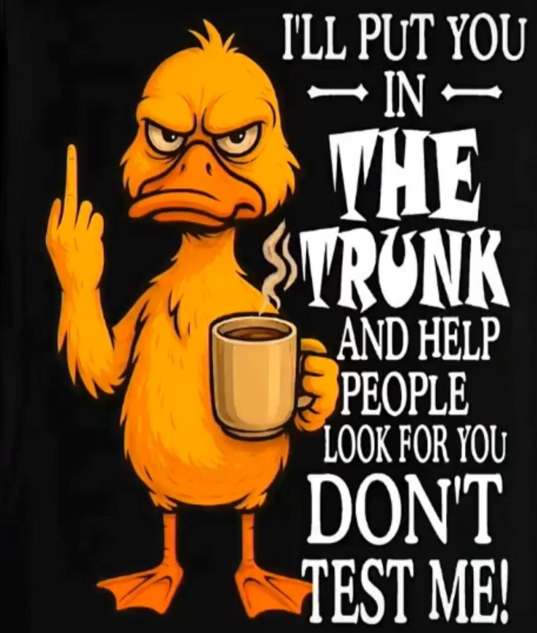 I'LL PUT YOU IN THE TRUNK AND HELP PEOPLE LOOK FOR YOU DON'T TEST ME!