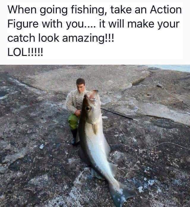 When going fishing take an Action Figure with you it will make your catch look amazing