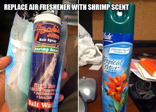REPLACE AIR FRESHENER WITH SHRIMP SCENT 4 o