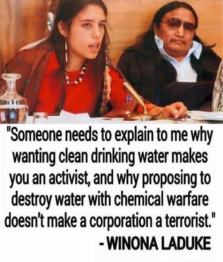 R Someone needs o explain to me why wanting clean drinking water makes you an activist and why proposing to destroy water with chemical warfare doesnt make a corporation a terrorist WINONA LADUKE