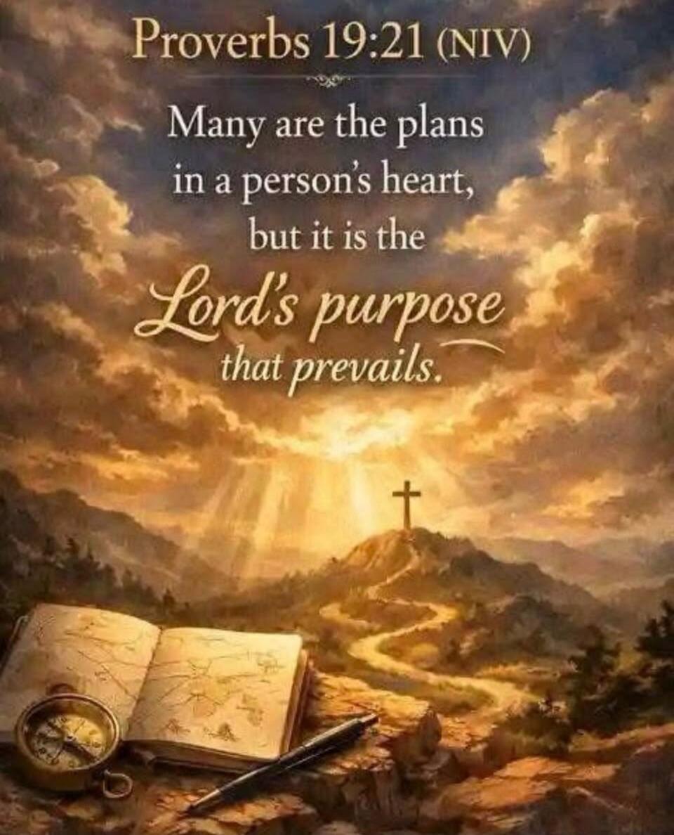 Proverbs 19:21 (NIV) Many are the plans in a person's heart, but it is the Lord's purpose that prevails.