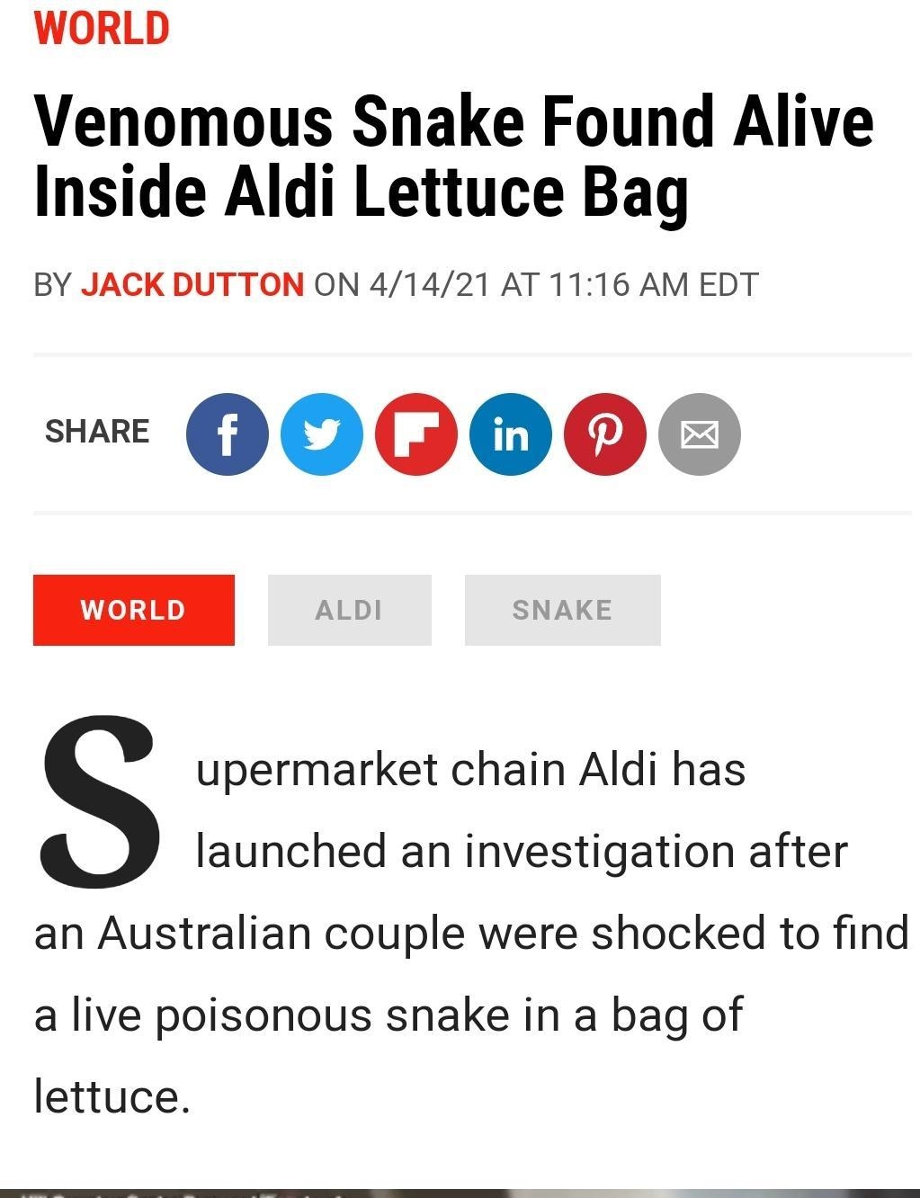 WORLD Venomous Snake Found Alive Inside Aldi Lettuce Bag BY JACKDUTTON ON 41421 AT 1116 AM EDT QOO0 upermarket chain Aldi has launched an investigation after an Australian couple were shocked to find a live poisonous snake in a bag of lettuce