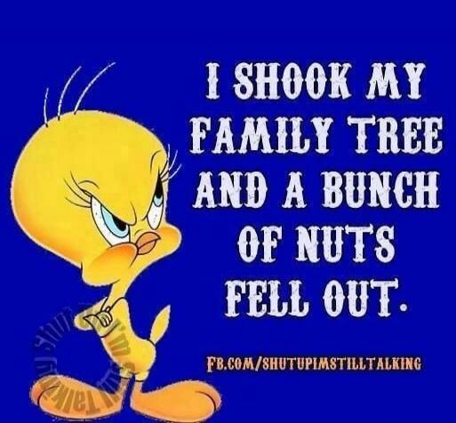 I SHOOK MY FAMILY TREE AND A BUNCH OF NUTS FELL OUT. FB.COM/SHUTUPIMSTILLTALKING