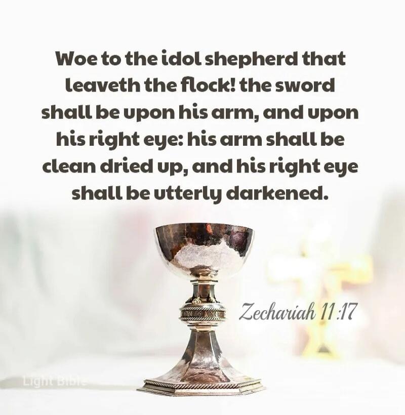 Woe to the idol shepherd that leaveth the flock! the sword shall be upon his arm, and upon his right eye: his arm shall be clean dried up, and his right eye shall be utterly darkened. Zechariah 11:17 Light Bible