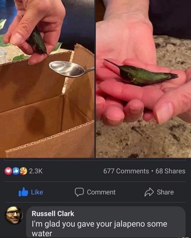 P 23K 677 Comments 68 Shares 1l Like R Share Russell Clark Im glad you gave your jalapeno some water