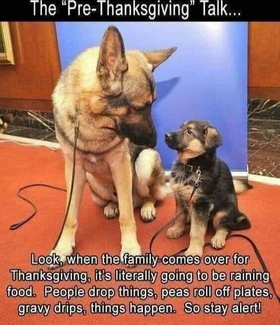 The “Pre-Thanksgiving” Talk... Look, when the family comes over for Thanksgiving, it's literally going to be raining food. People drop things, peas roll off plates, gravy drips, things happen. So stay alert!