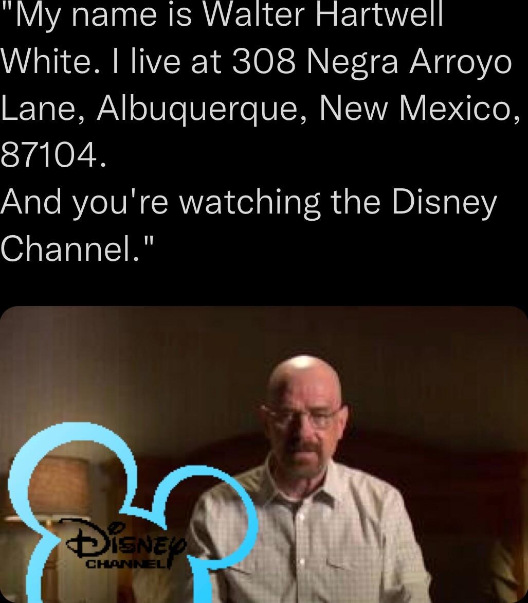 My name is Walter Hartwell White live at 308 Negra Arroyo Lane Albuguerque New Mexico SyaloZy And youre watching the Disney O LTI