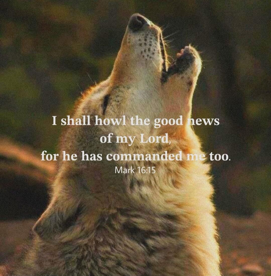 I shall howl the good news
of my Lord,
for he has commanded me too.
Mark 16:15
