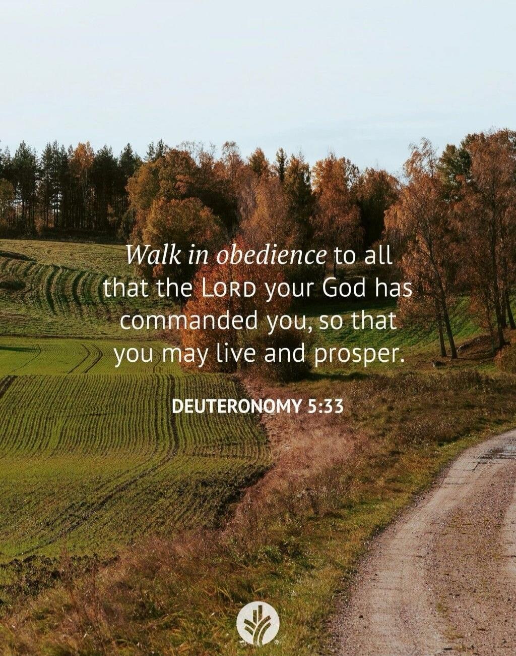 Walk in obedience to all that the LORD your God has commanded you, so that you may live and prosper.

DEUTERONOMY 5:33
