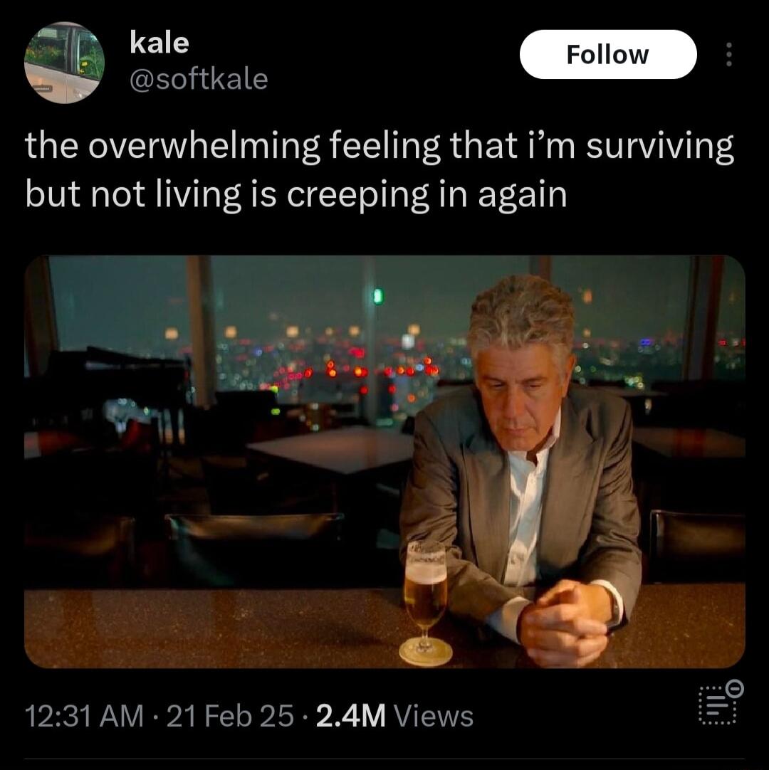 kale Follc H S the overwhelming feeling that im surviving but not living is creeping in again 1231 AM 21 Feb 25 24M Views