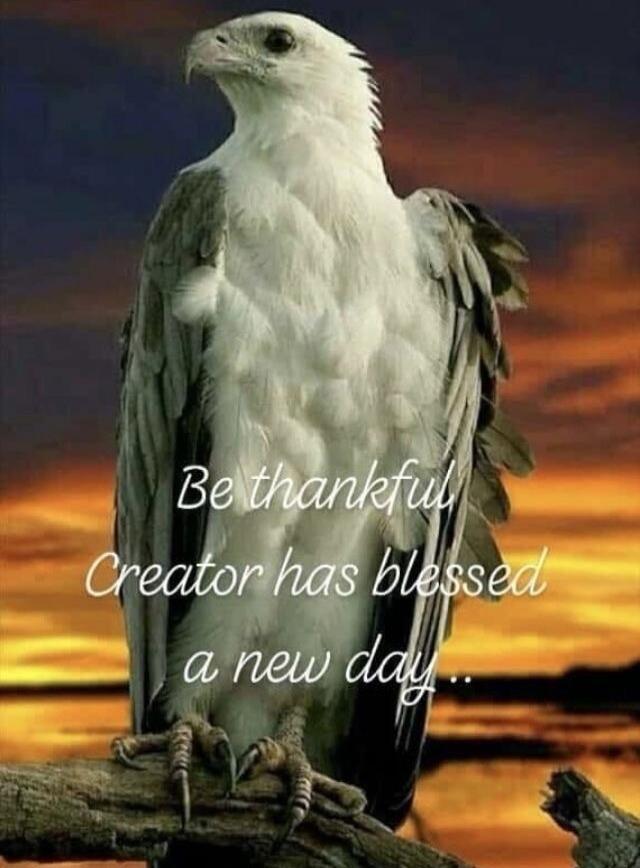 Be thankful Creator has blessed a new day...