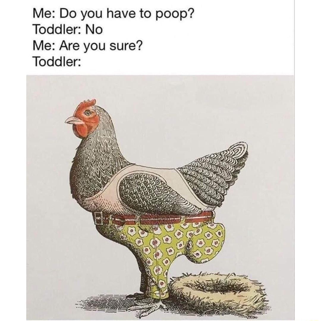 Me Do you have to poop Toddler No Me Are you sure Toddler