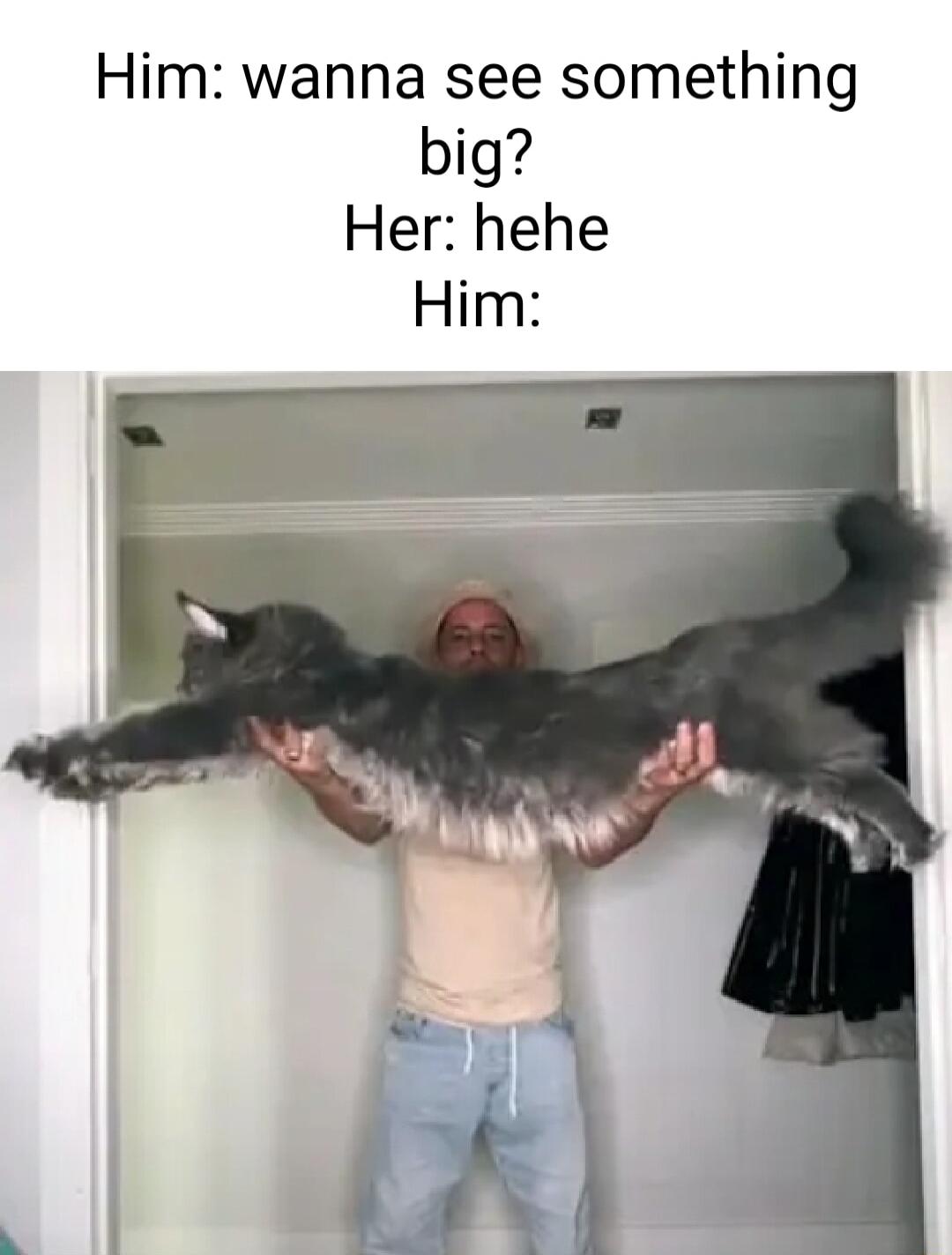 Him wanna see something big Her hehe Him