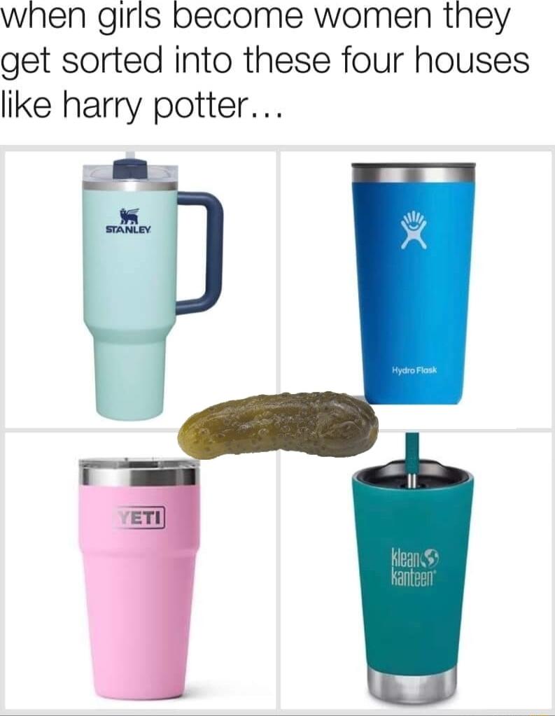 when girls become women they get sorted into these four houses like harry potter