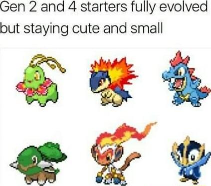 Gen 2 and 4 starters fully evolved but staying cute and smalll auh e T o