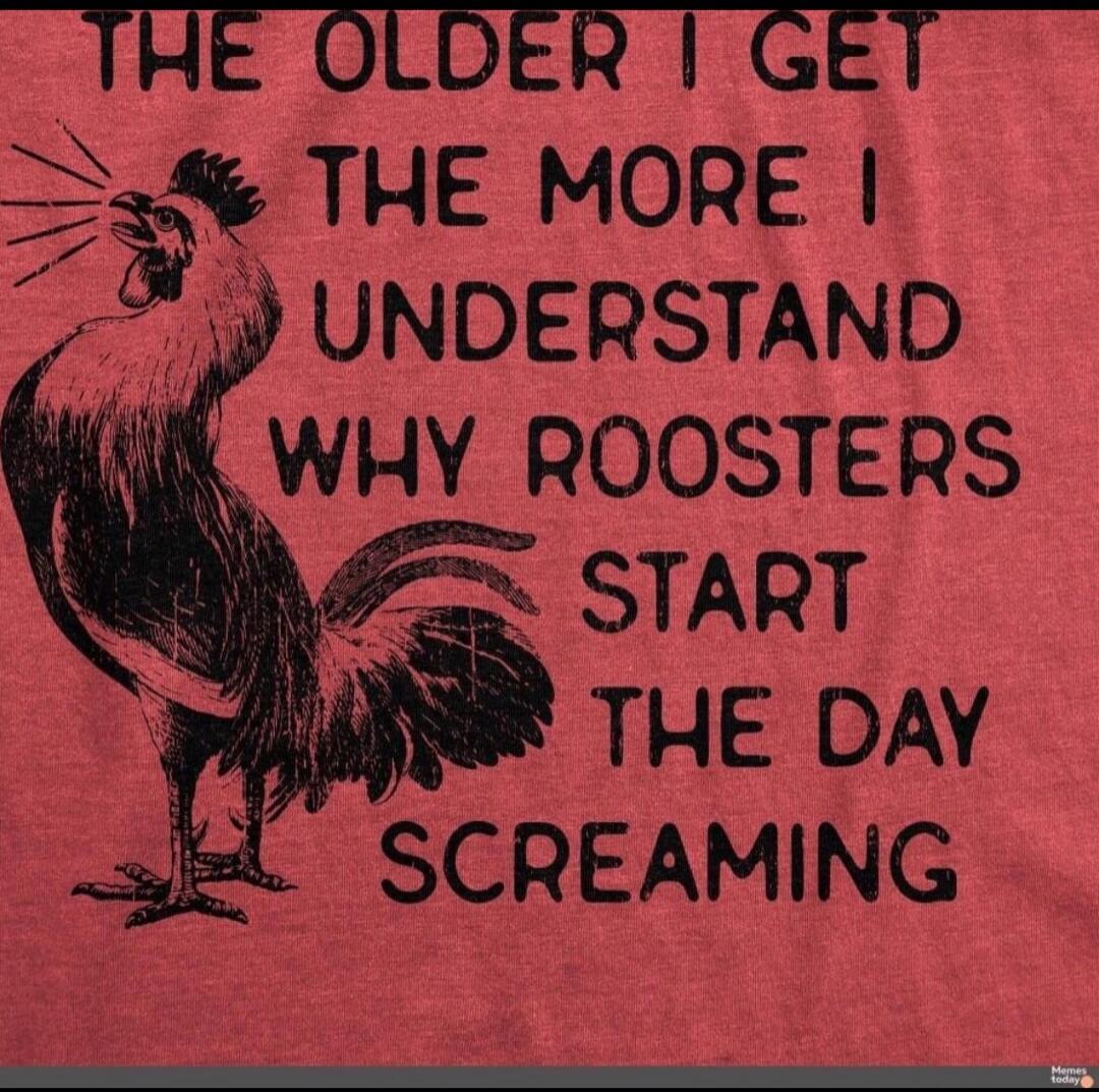 THE OLDER I GET THE MORE I UNDERSTAND WHY ROOSTERS START THE DAY SCREAMING