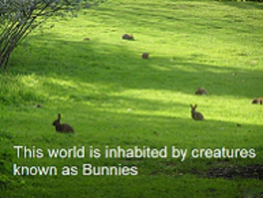 Thisworld is inhabited by Mm known as Bunnies 2