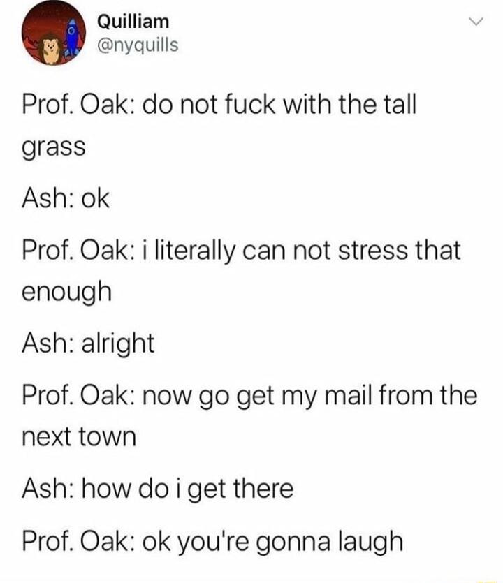 Quilliam nyquills Prof Oak do not fuck with the tall grass Ash ok Prof Oak i literally can not stress that enough Ash alright Prof Oak now go get my mail from the next town Ash how do i get there Prof Oak ok youre gonna laugh